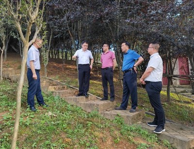 省林業(yè)局副局長傅強一行赴施秉縣指導國儲林及林下經濟建設與林業(yè)產品銷售工作