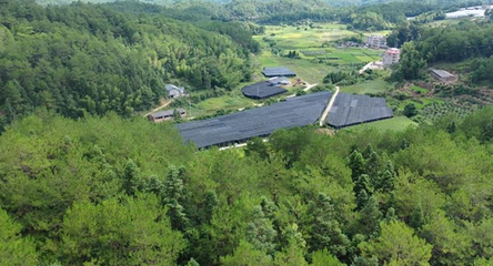 鐘鴻輝綠色家庭 讓大地披綠，讓綠色生活融入日常