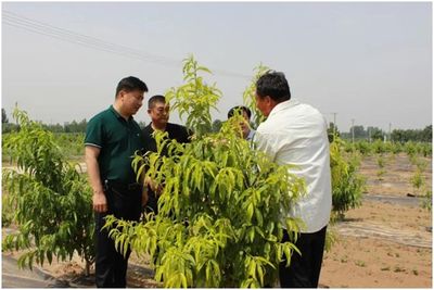 東營市河口區(qū) 黨建引領促產業(yè) 鄉(xiāng)村振興奔富路——電子產品銷售的創(chuàng)新實踐