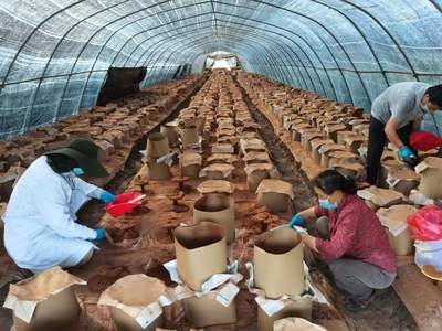 喜迎二十大 電子產品銷售行業(yè)的新機遇與未來展望