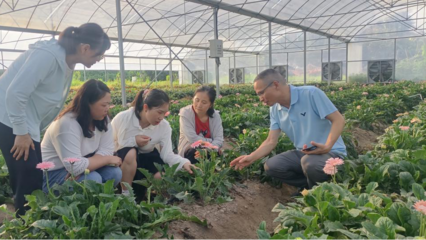 泉州洛江區(qū)科特派行動(dòng)周報(bào) 林業(yè)產(chǎn)品銷售專題