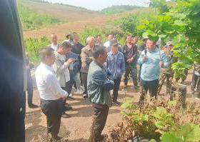 遼陽市林草局舉辦大果榛子實(shí)用技術(shù)培訓(xùn)班 助力林業(yè)產(chǎn)品銷售與產(chǎn)業(yè)升級(jí)