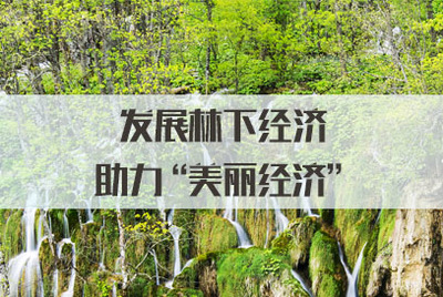 發(fā)展林下經(jīng)濟(jì)，拓展銷售渠道，讓‘美麗經(jīng)濟(jì)’更富生機(jī)