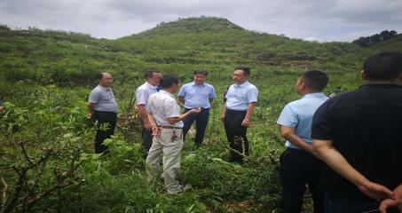 遵義市林業(yè)局 構(gòu)建綠色產(chǎn)業(yè)體系，推動(dòng)林業(yè)產(chǎn)品銷售高質(zhì)量發(fā)展